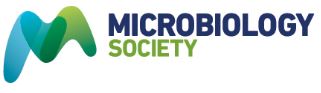 Microbiology Society Logo.JPG